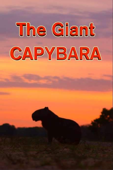 The Giant Capybara